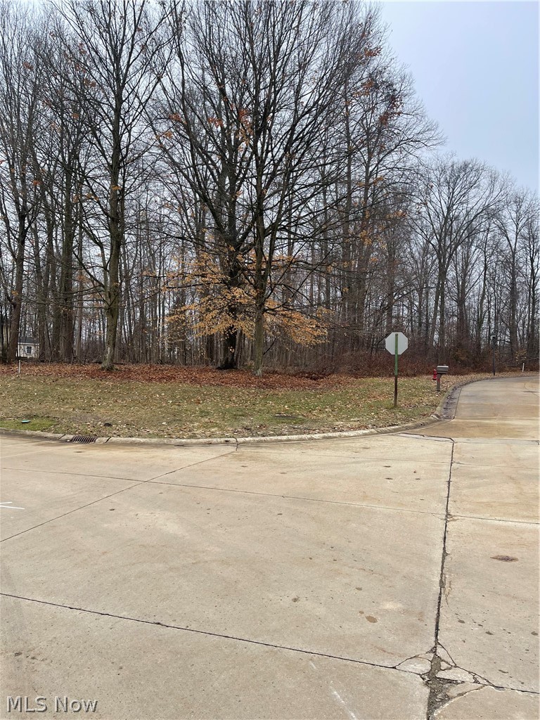 V/l 260 Stony Brook Lane Wakeman OH 44889