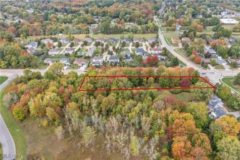 Webster Road Strongsville OH 44136