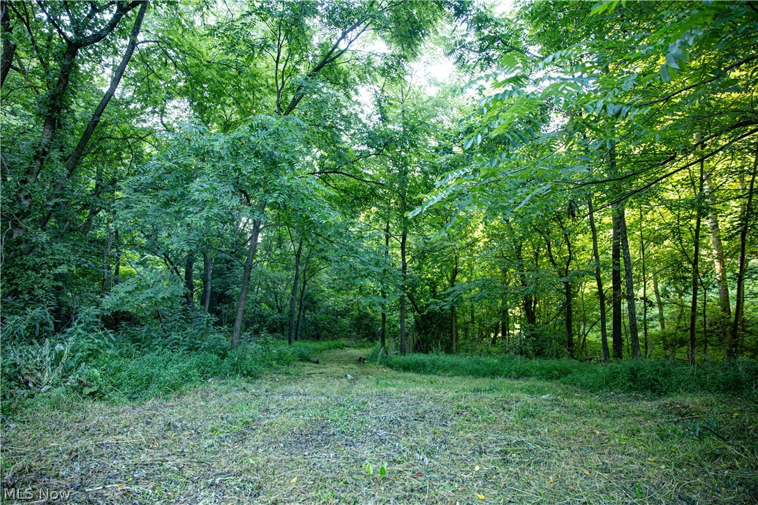 52982 Wegee Road Shadyside OH 43947