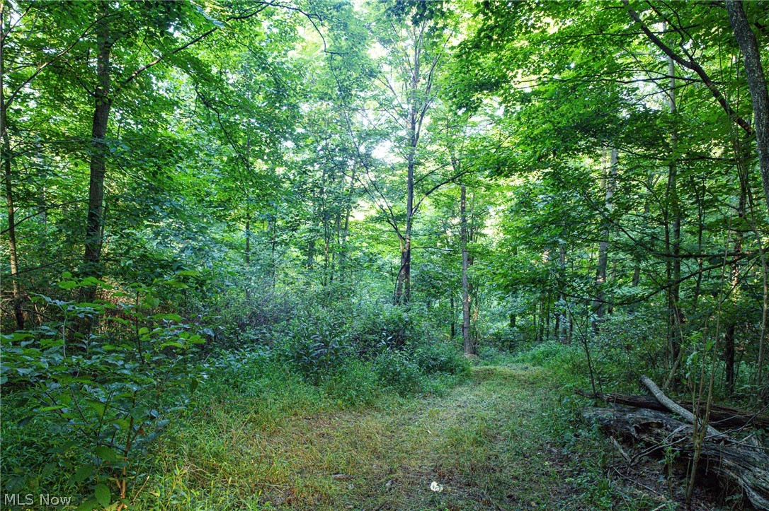 52982 Wegee Road Shadyside OH 43947
