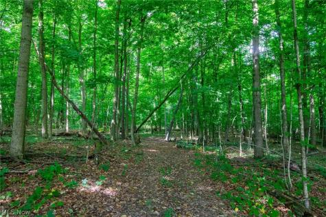 11687 Hidden Lake Drive Marshallville OH 44645