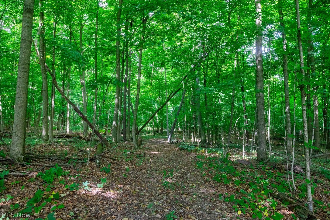 11687 Hidden Lake Drive Marshallville OH 44645