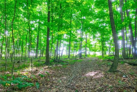 11687 Hidden Lake Drive Marshallville OH 44645
