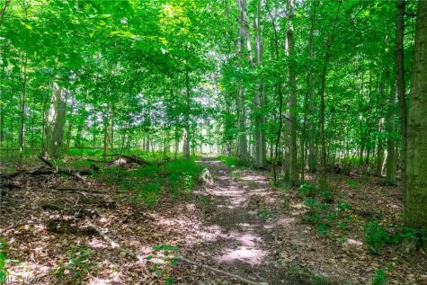 11687 Hidden Lake Drive Marshallville OH 44645