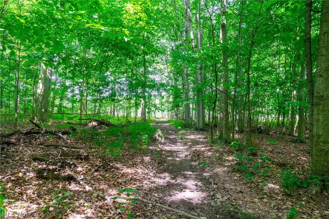 11687 Hidden Lake Drive Marshallville OH 44645