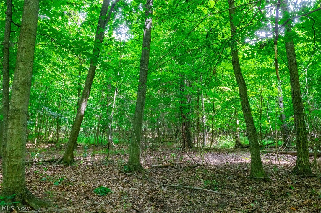 11687 Hidden Lake Drive Marshallville OH 44645