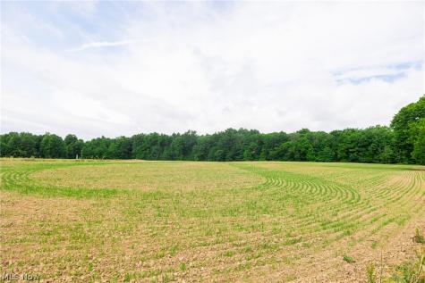 11687 Hidden Lake Drive Marshallville OH 44645