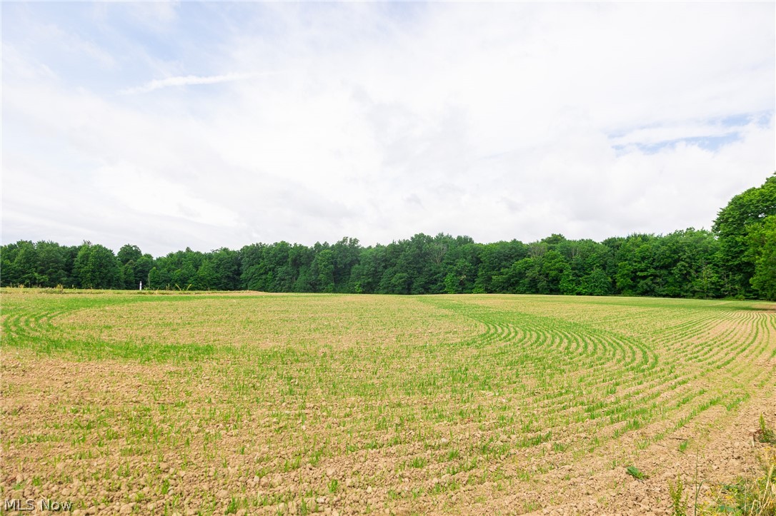 11687 Hidden Lake Drive Marshallville OH 44645