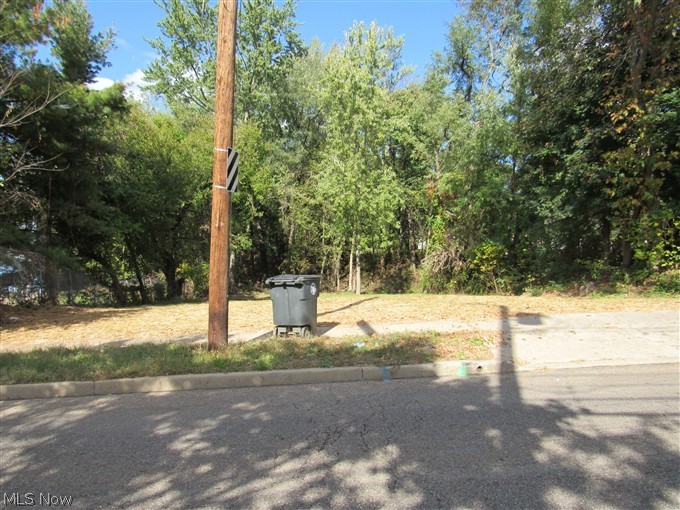 1199 Newton Street Akron OH 44305