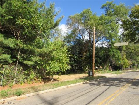 1199 Newton Street Akron OH 44305