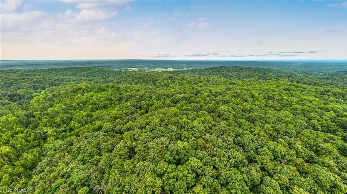 0 Bald Knob Stiversville Road Portland OH 45770