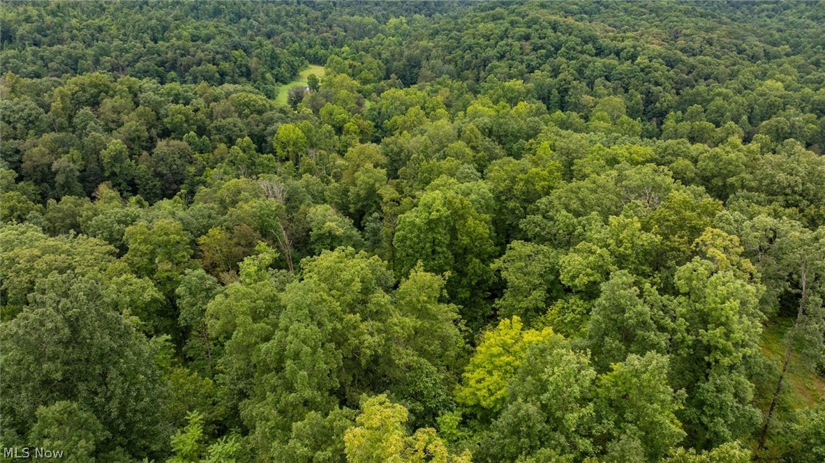 0 Bald Knob Stiversville Road Portland OH 45770