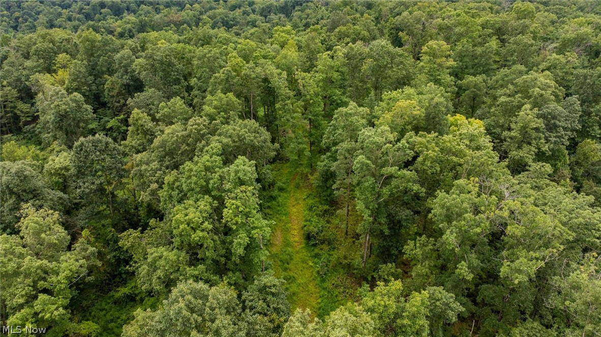 0 Bald Knob Stiversville Road Portland OH 45770