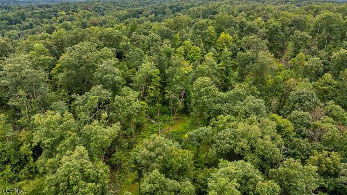 0 Bald Knob Stiversville Road Portland OH 45770