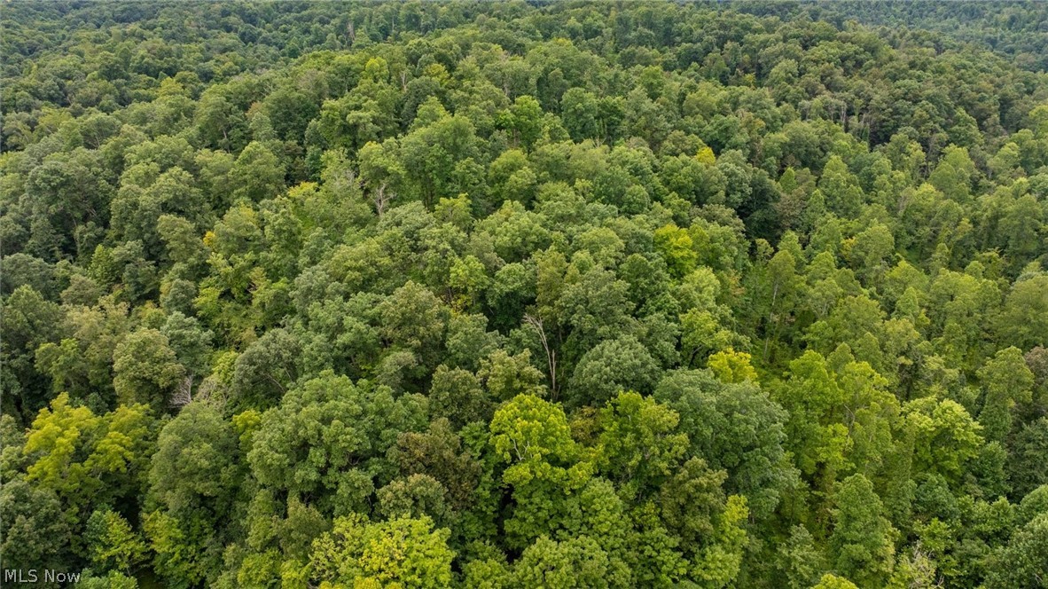 0 Bald Knob Stiversville Road Portland OH 45770