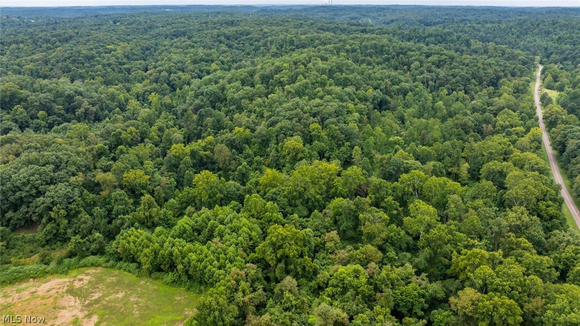 0 Bald Knob Stiversville Road Portland OH 45770