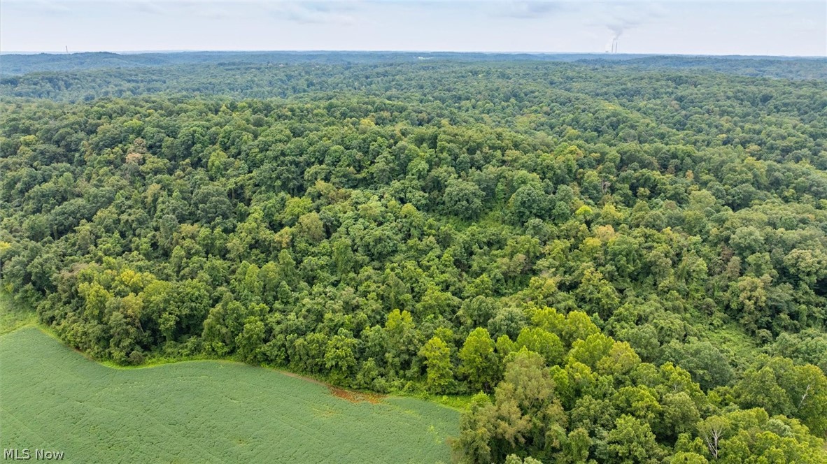 0 Bald Knob Stiversville Road Portland OH 45770