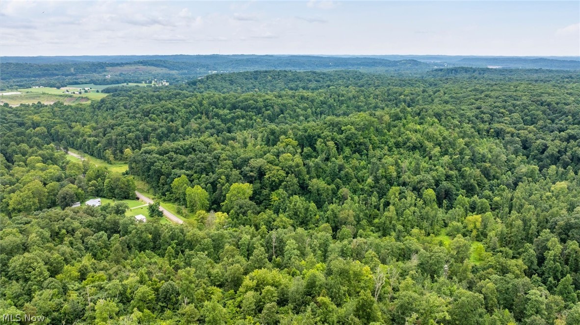 0 Bald Knob Stiversville Road Portland OH 45770