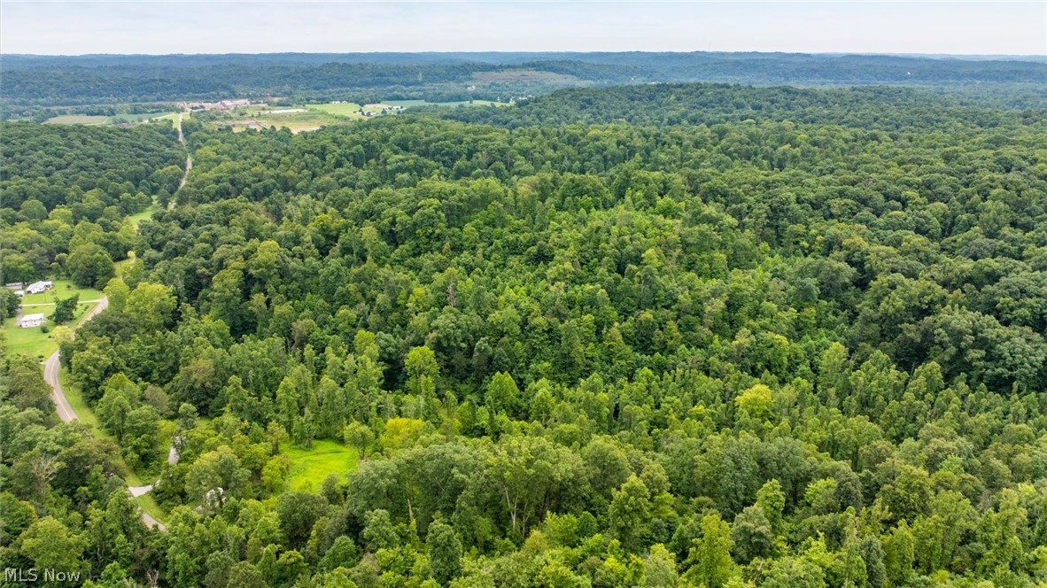 0 Bald Knob Stiversville Road Portland OH 45770