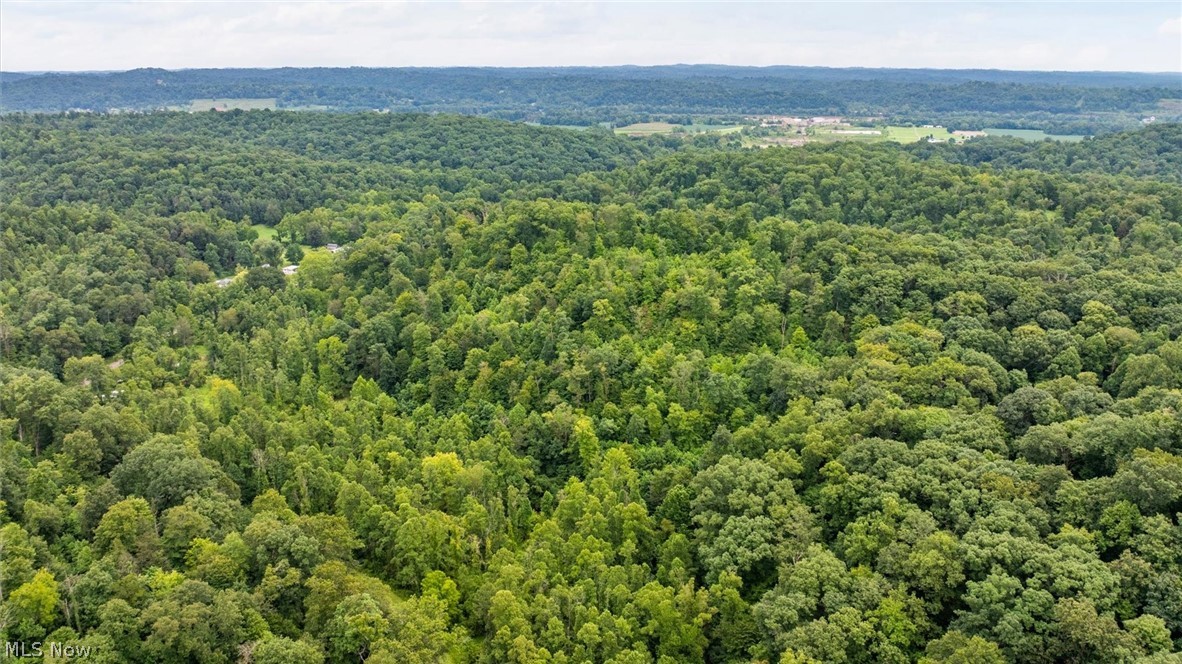 0 Bald Knob Stiversville Road Portland OH 45770