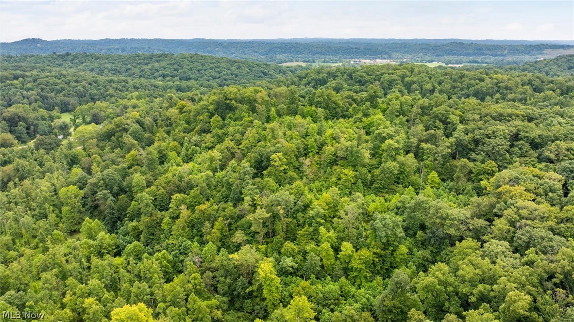 0 Bald Knob Stiversville Road Portland OH 45770