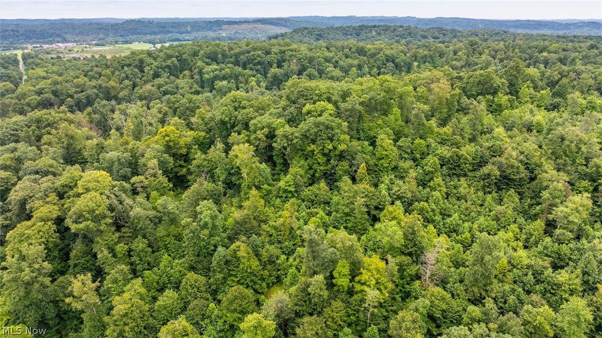 0 Bald Knob Stiversville Road Portland OH 45770