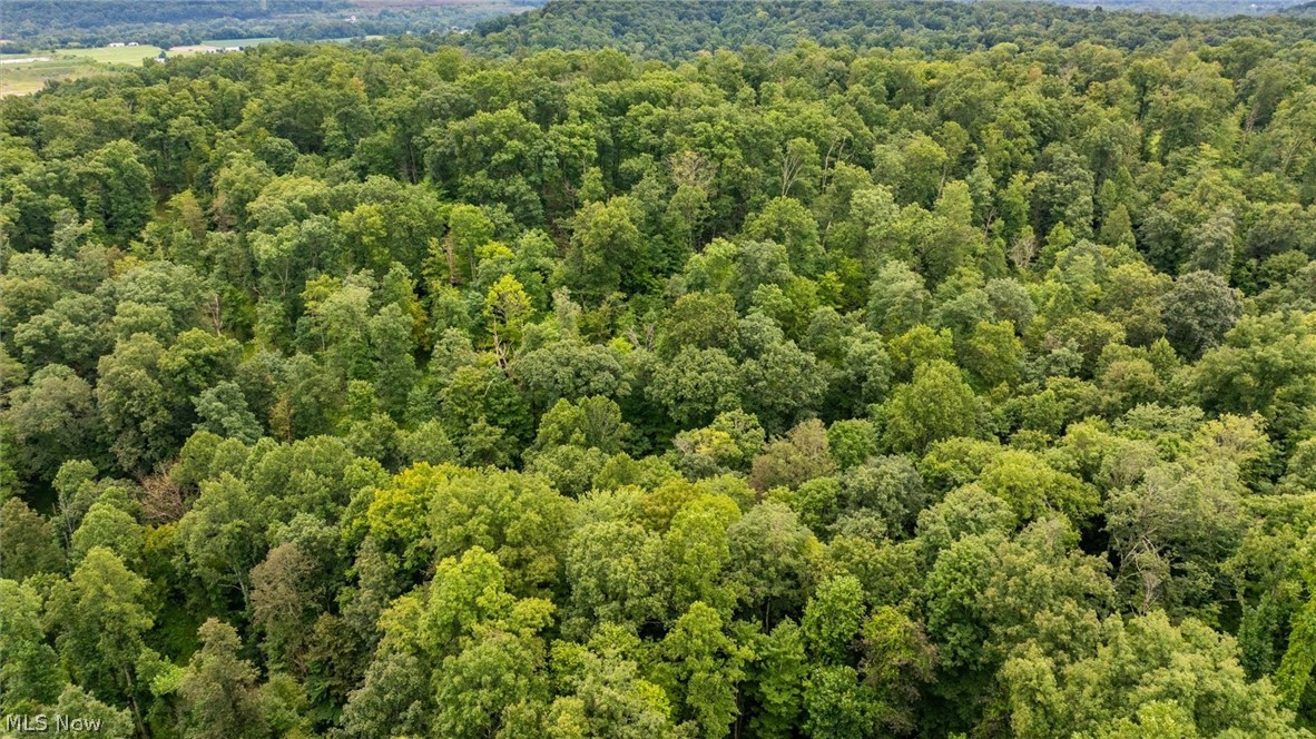 0 Bald Knob Stiversville Road Portland OH 45770