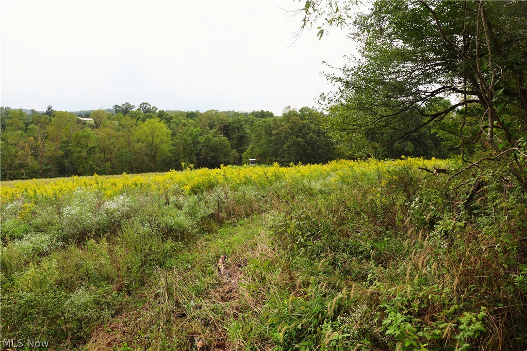 Township Road 212 Fresno OH 43824