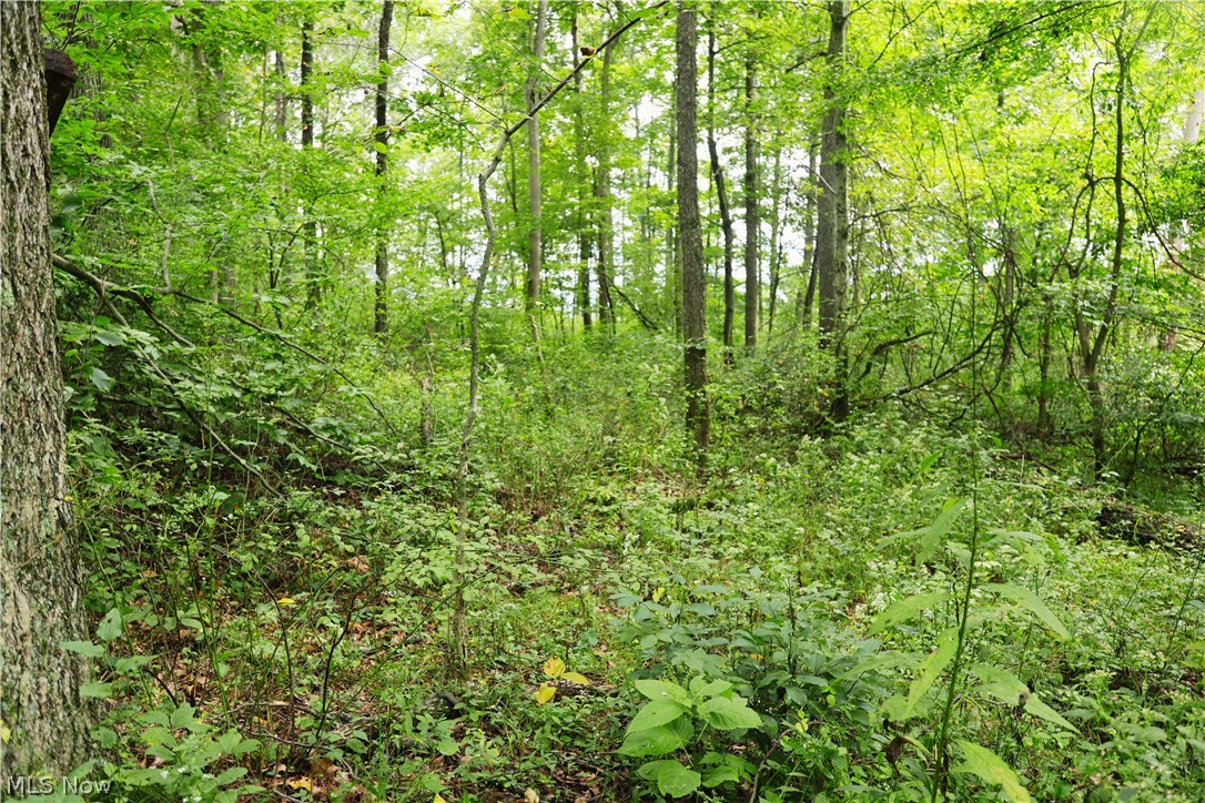 Township Road 212 Fresno OH 43824
