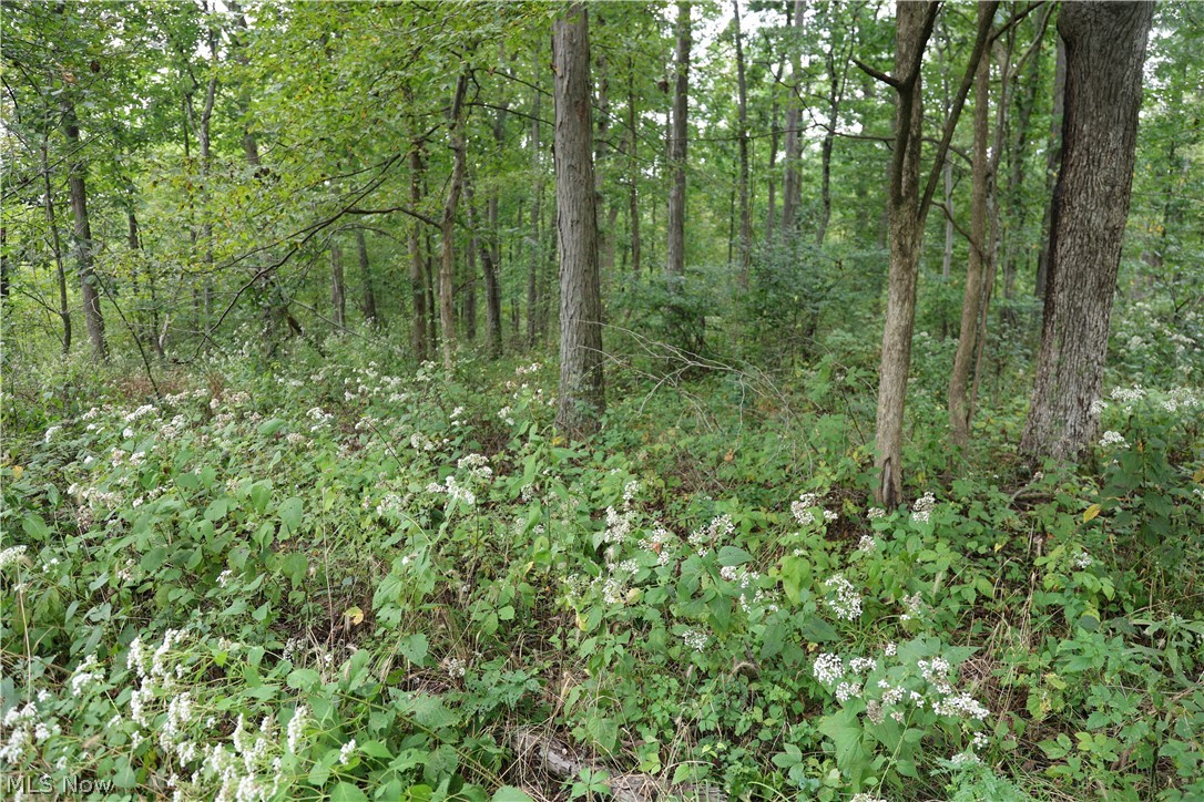 Township Road 212 Fresno OH 43824