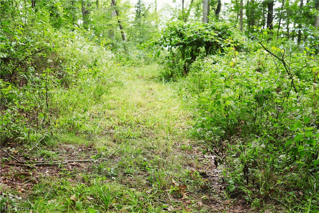 Township Road 212 Fresno OH 43824