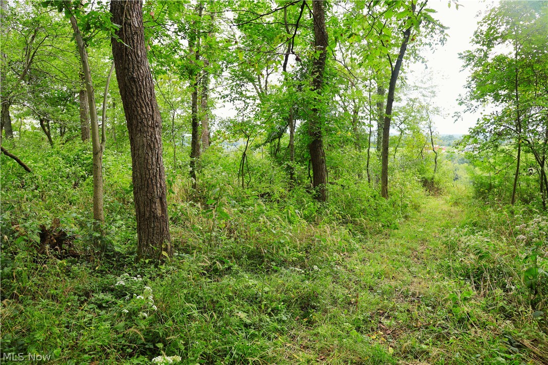 Township Road 212 Fresno OH 43824