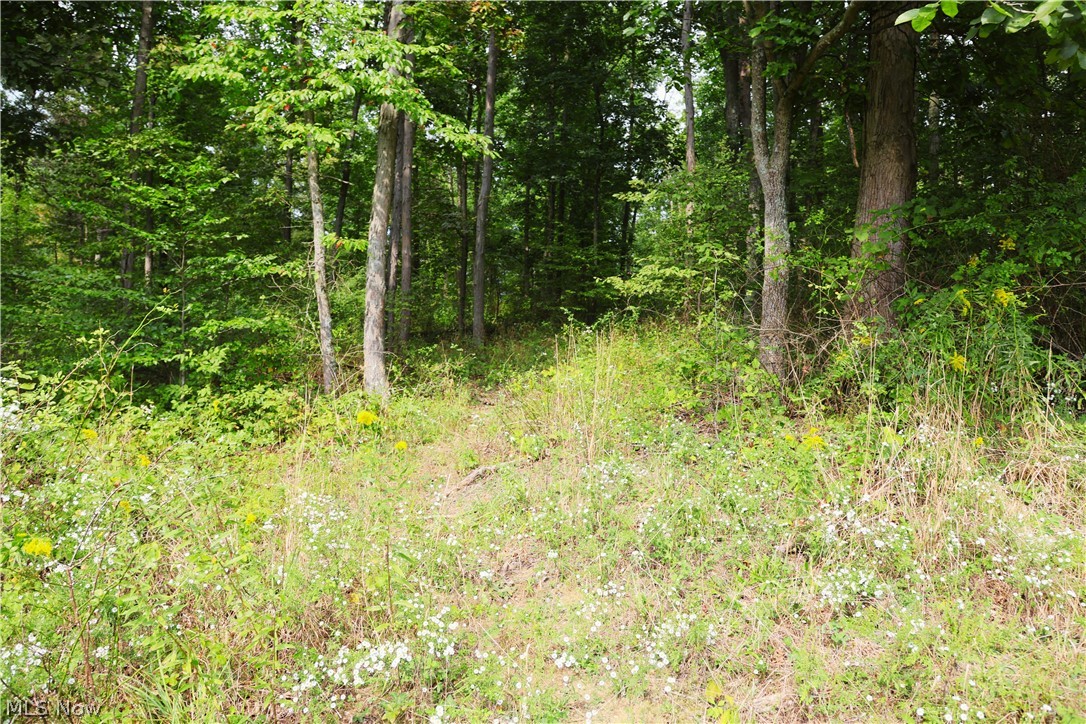 Township Road 212 Fresno OH 43824