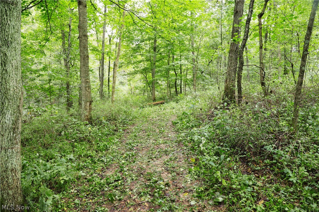 Township Road 212 Fresno OH 43824