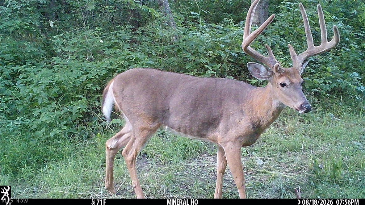 Township Road 212 Fresno OH 43824