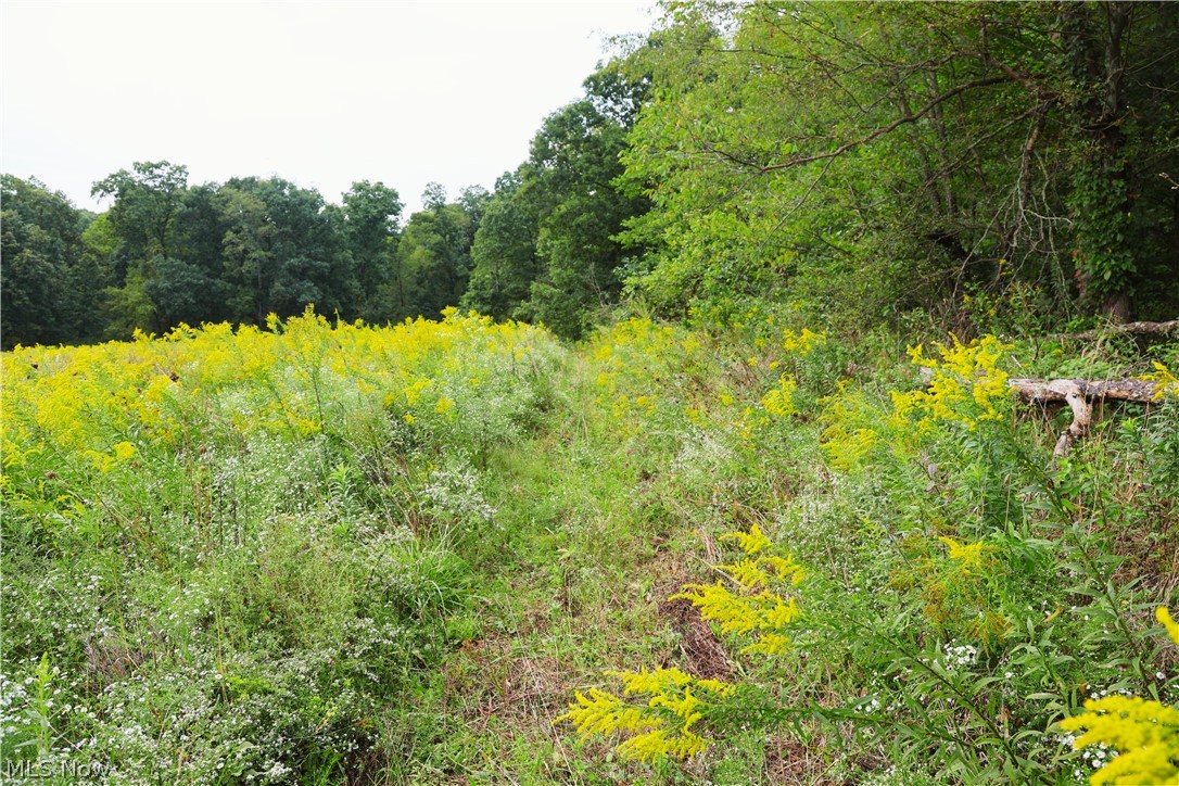 Township Road 212 Fresno OH 43824