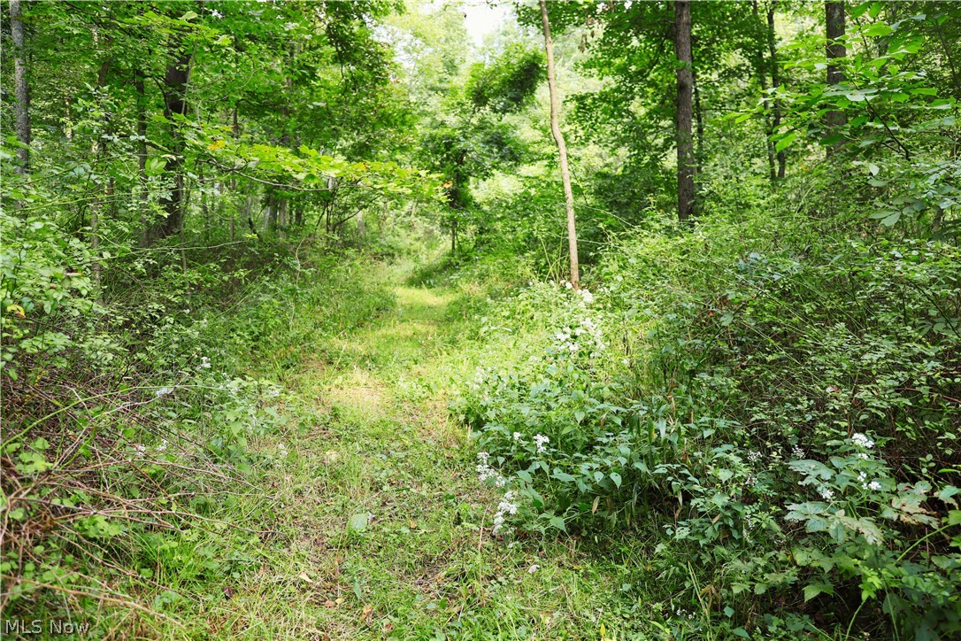 Township Road 212 Fresno OH 43824