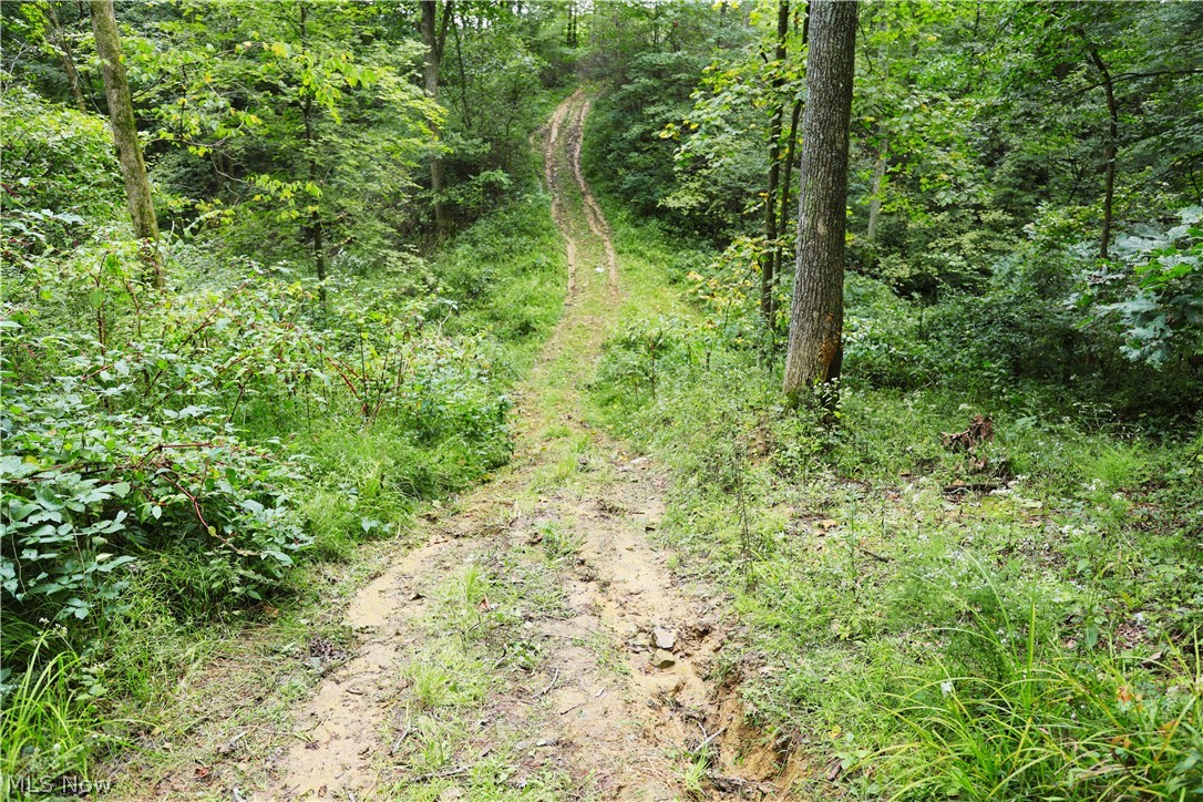 Township Road 212 Fresno OH 43824