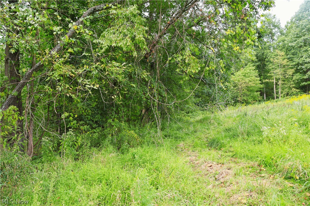 Township Road 212 Fresno OH 43824