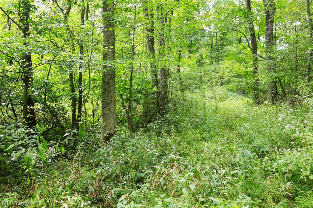 Township Road 212 Fresno OH 43824
