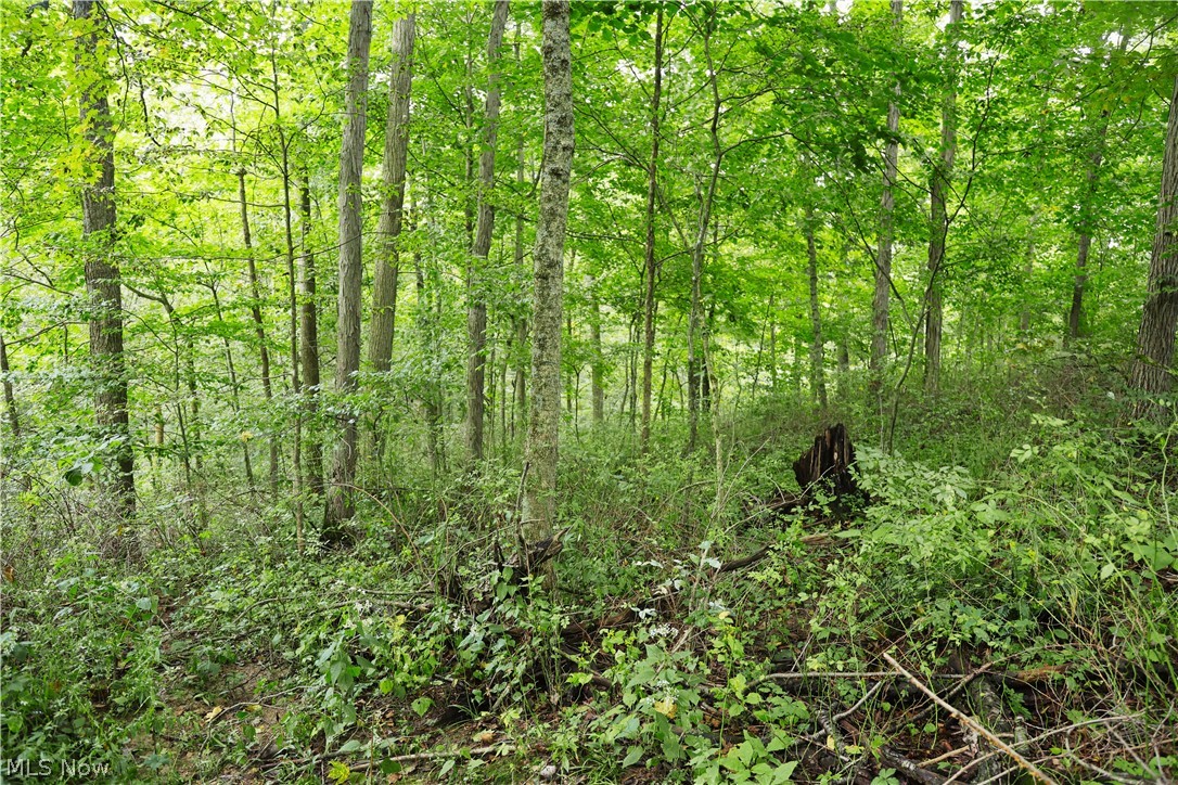 Township Road 212 Fresno OH 43824
