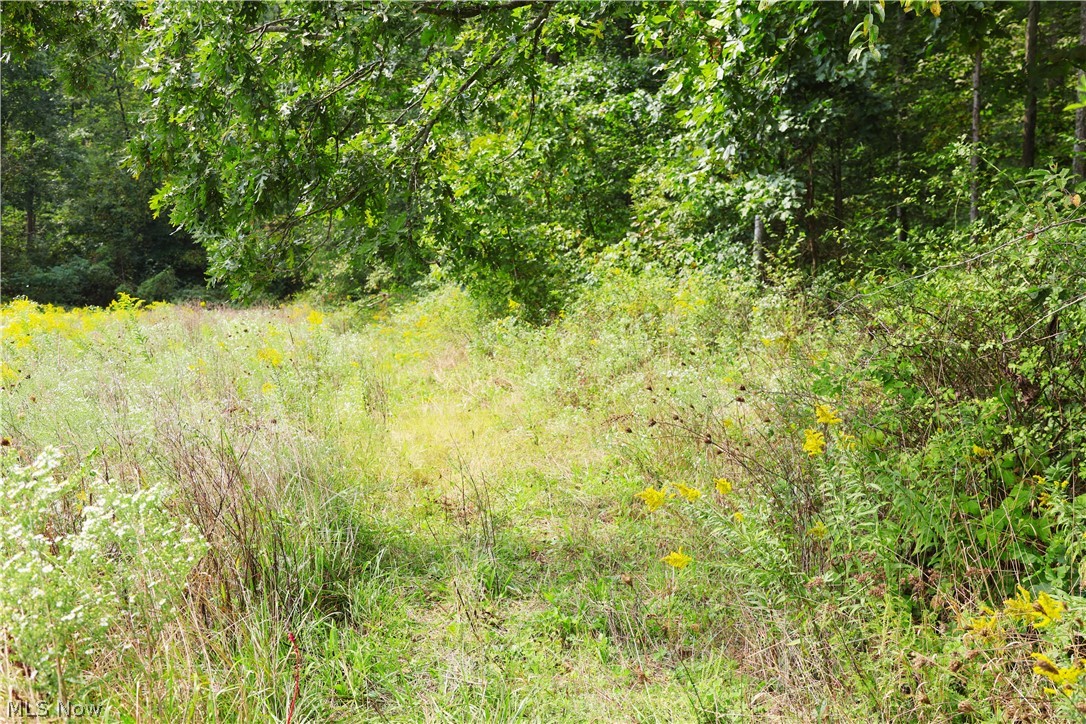 Township Road 212 Fresno OH 43824