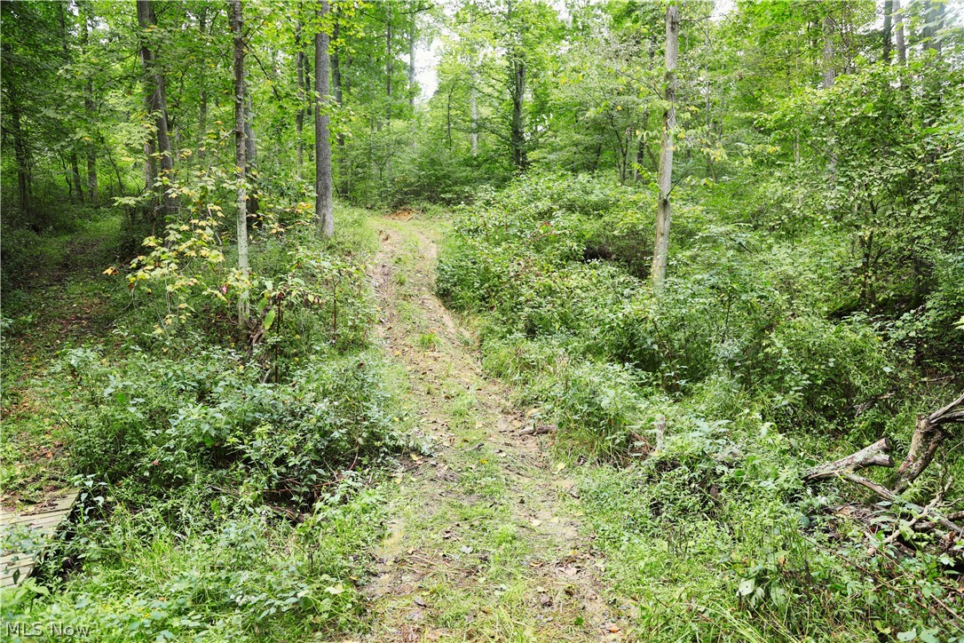 Township Road 212 Fresno OH 43824