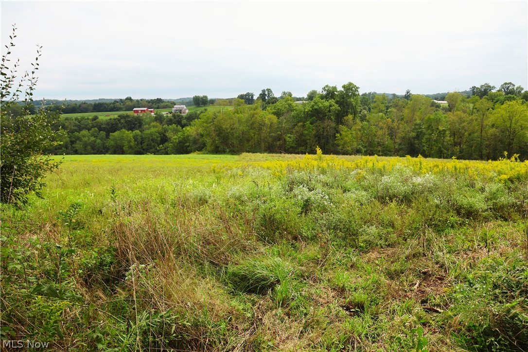 Township Road 212 Fresno OH 43824