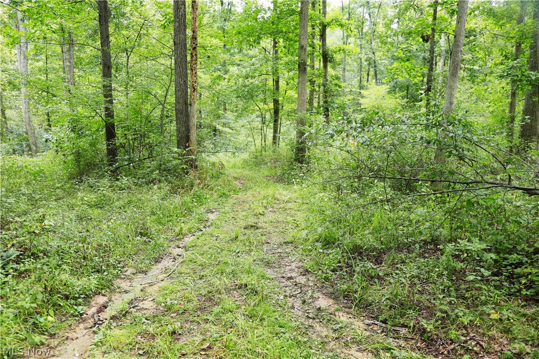 Township Road 212 Fresno OH 43824