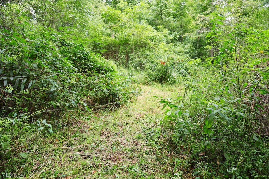 Township Road 212 Fresno OH 43824