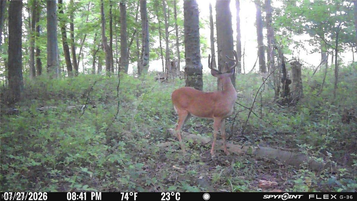 28550 State Route 60 Highway Warsaw OH 43844