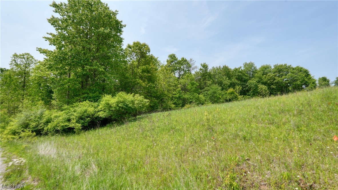 63580 Wintergreen Road Lore City OH 43755
