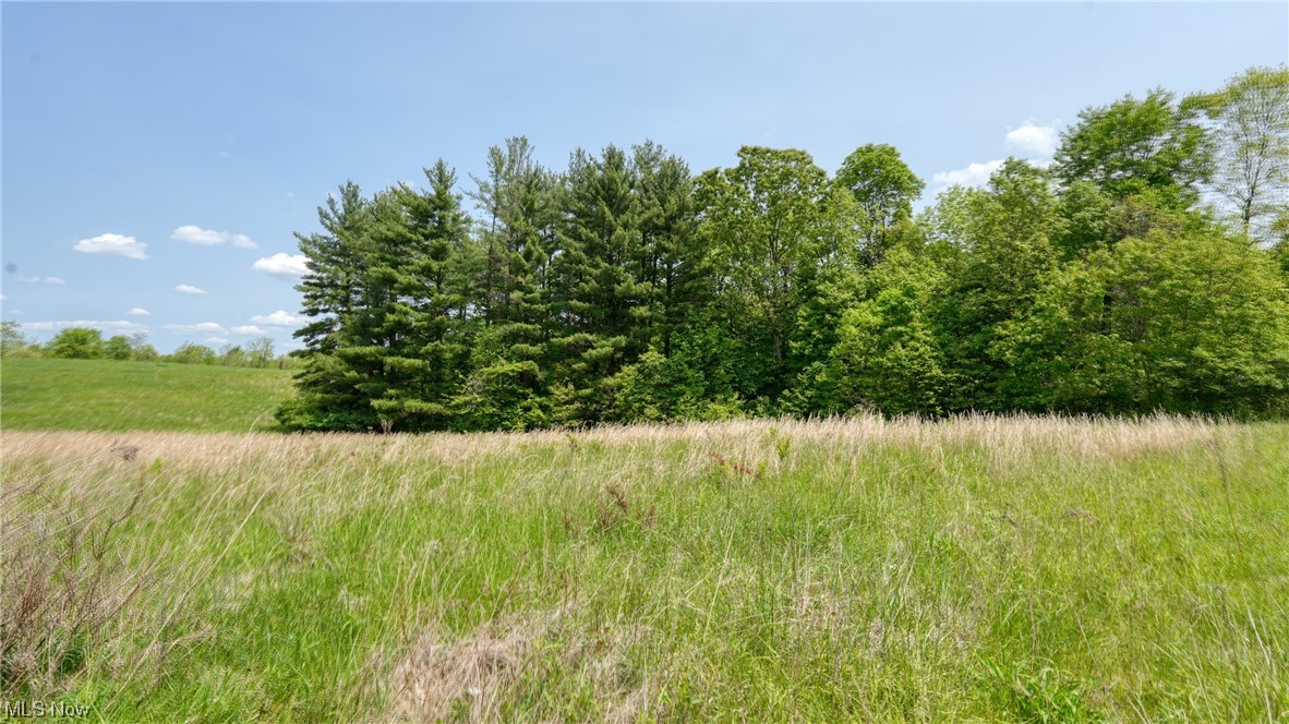 63580 Wintergreen Road Lore City OH 43755