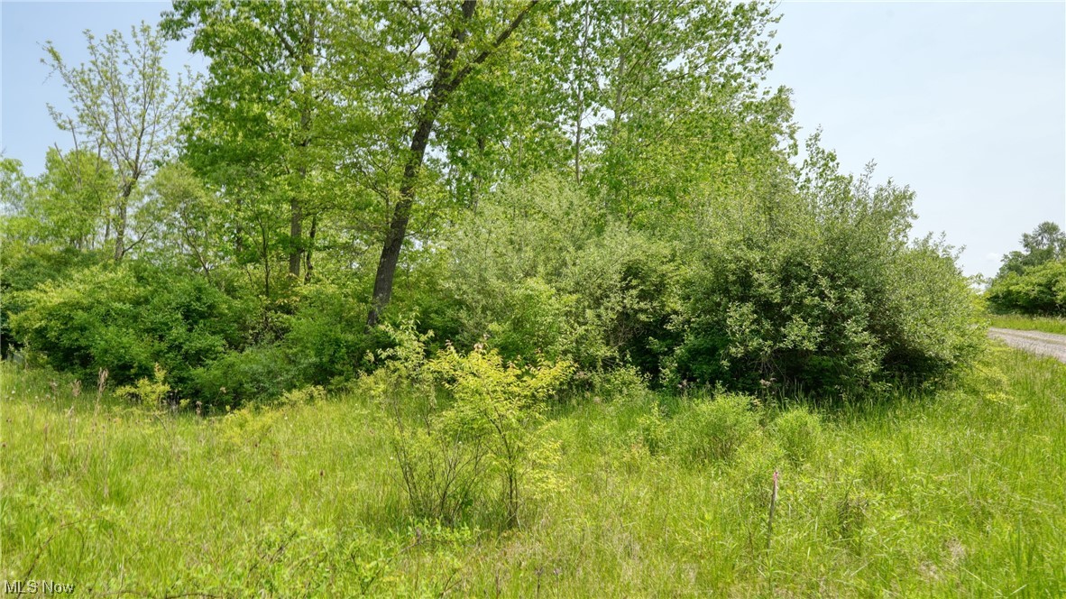 63580 Wintergreen Road Lore City OH 43755